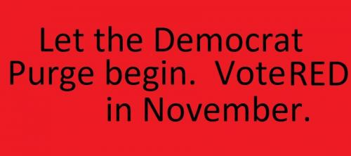 Democrat Purge