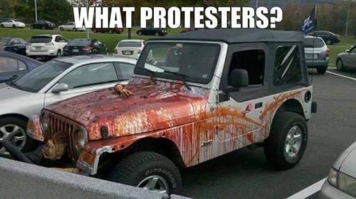 1 What Protesters