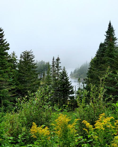 IMG_20200829_134644_395