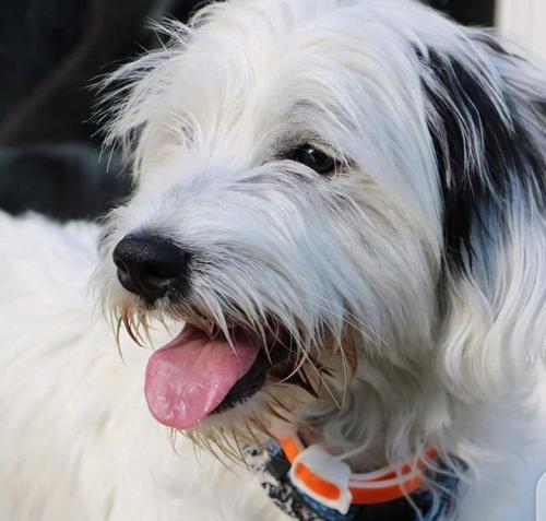 IMG_20200912_112956_936