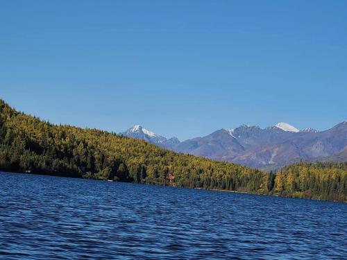 FB_IMG_1600036127396