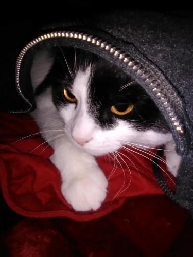 83643580_2534895596621196_7469438535699791872_o