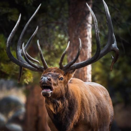 IMG_20190907_123756_557