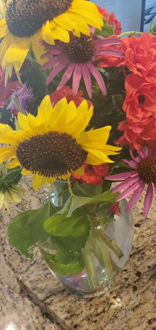 Screenshot_20200907-205133_Gallery