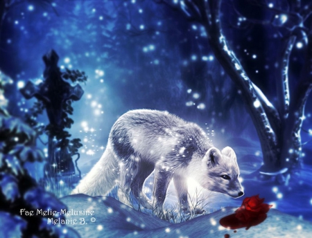 1640876-bigthumbnail