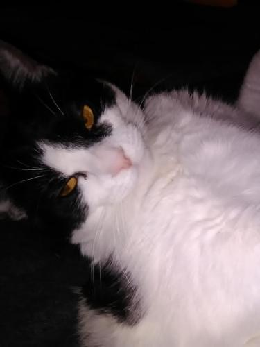 83764872_2539264579517631_8968754104826331136_o