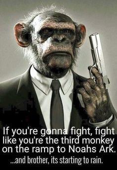 693d76e9c5f7c2e18a73d187d7be5286--artistic-wallpaper-funny-monkeys