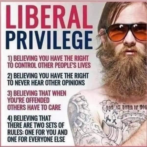 Liberal Privilege