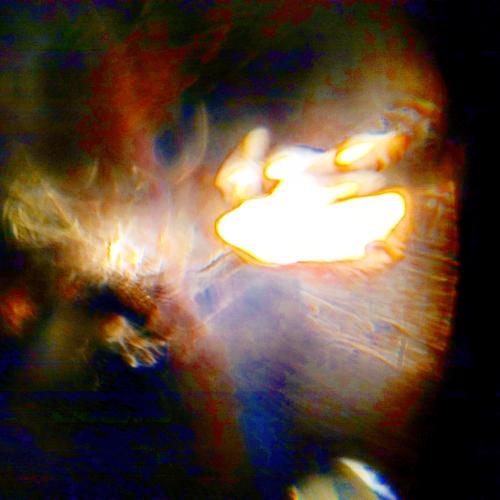 IMG_20191027_012732_541