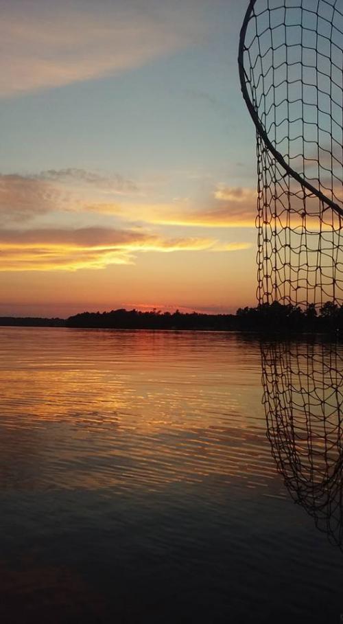 13178834_10207346383350442_3642595700573937821_n_10207346383350442