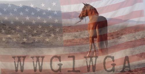 E254698B-E827-497D-A0F4-440396850457