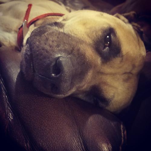 IMG_20180526_215534_178