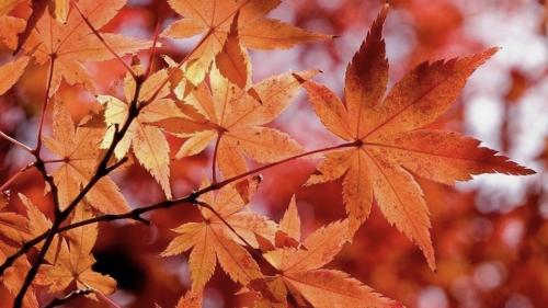 6E51495D-7310-4AF7-88F1-3C17F4B0DEC4