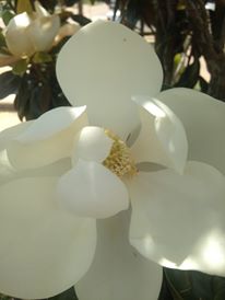 60674176_10219161117601616_2852051253129641984_o