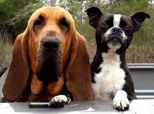 FB_IMG_1597623594076