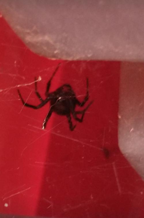 inbound7540853989596274523