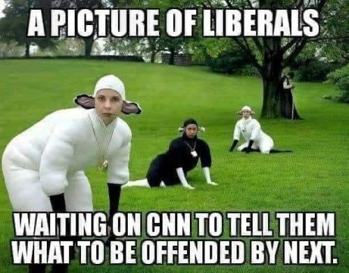 Sheeple and CNN