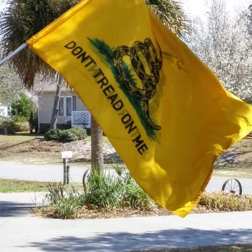 FB_IMG_1543277175716