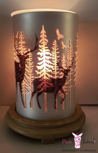 FB_IMG_1598672756400