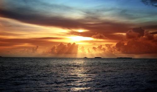 10380700_10152366946749627_2610734957846721526_o