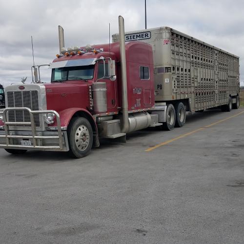 IMG_20200223_112101_767