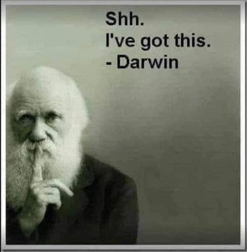 FB_IMG_1590244054820