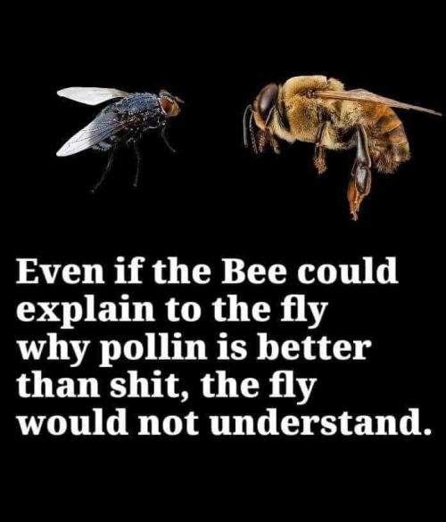 FB_IMG_1599496848081