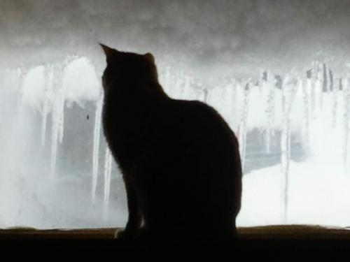 FB_IMG_1579484148735