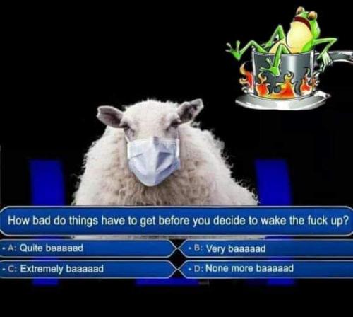 FB_IMG_1601406810372