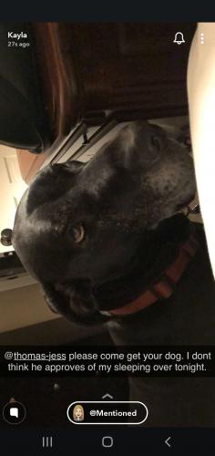 Screenshot_20200220-224729_Snapchat