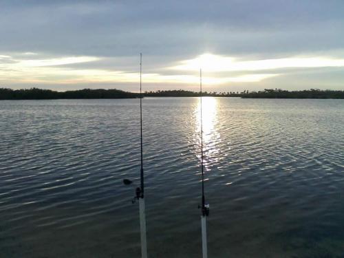 FB_IMG_1599400458111