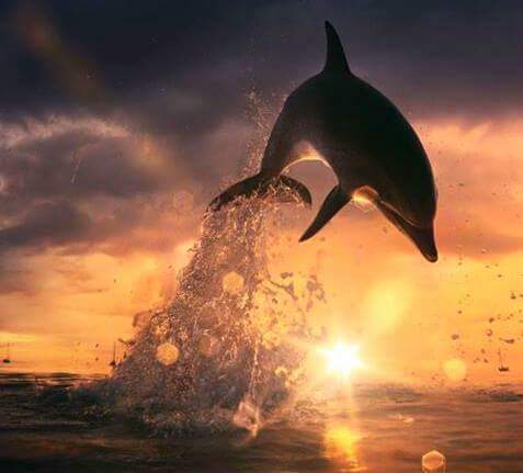 FB_IMG_1461175495938