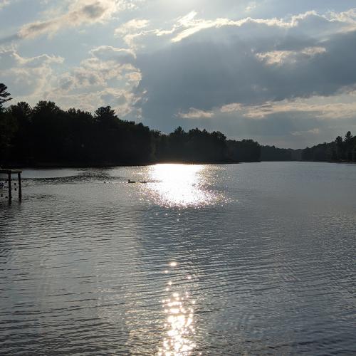 IMG_20200717_174005_245