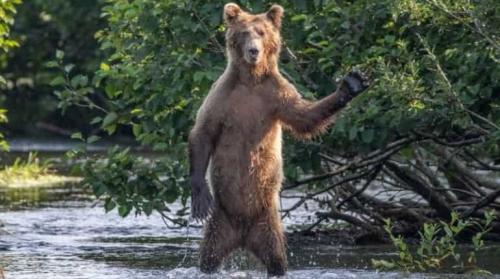 159737-untitled-design-62