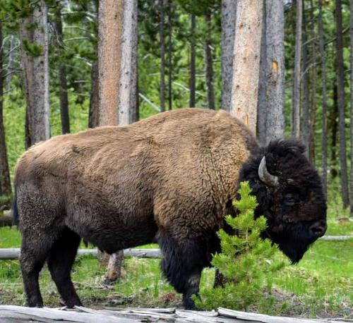 FB_IMG_1569354509248