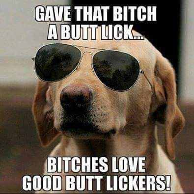 FB_IMG_1600888605340