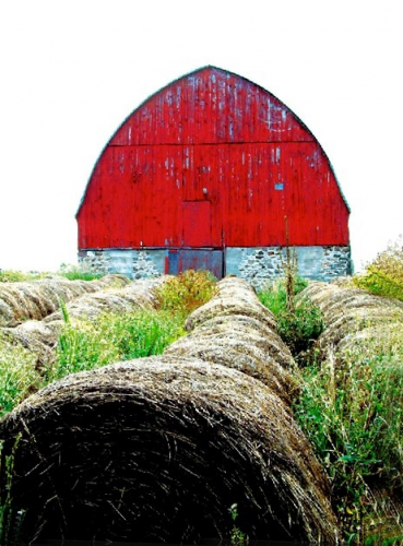 Barn Red & Bails