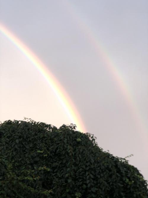 9FFC406F-9F04-4E21-9C68-7C77F92B1FEC