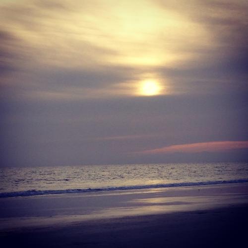 194F3021-DB92-4915-BC7F-53F18A0896B2