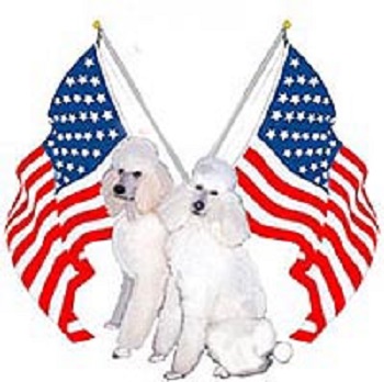 poodle_white_flag