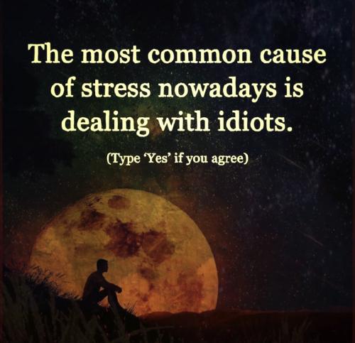 D604A551-8314-418B-A3D2-614C1B3CF0FE