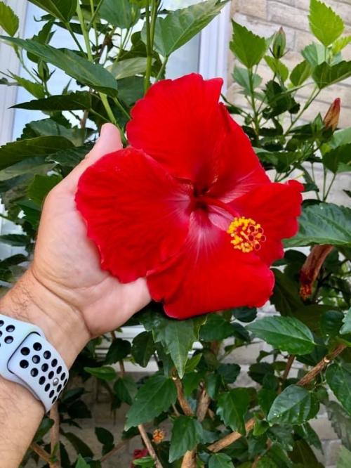 D3FCC217-2F78-43F0-B57E-55EFA1F361D7