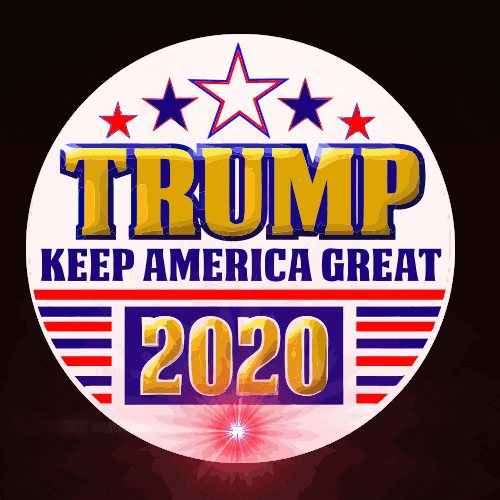 trump2020pin