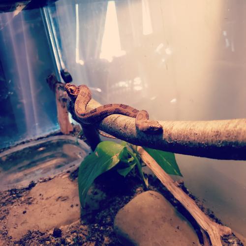 IMG_20200904_163026_038