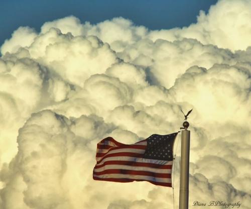 61301305_10214254016204576_5203589566161747968_o