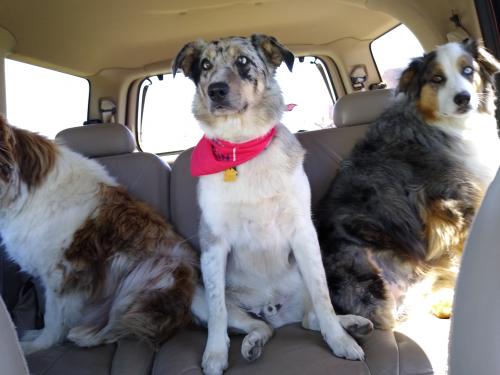 IMG_20200711_130956934