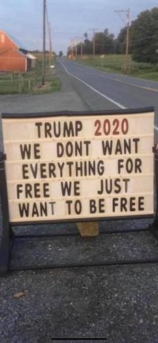 TRUMP 2020 JUST WANT 2 B FREE