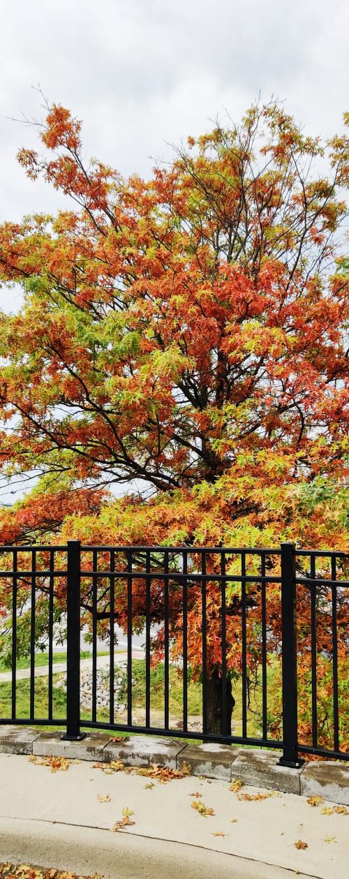 IMG_20200912_155414__01