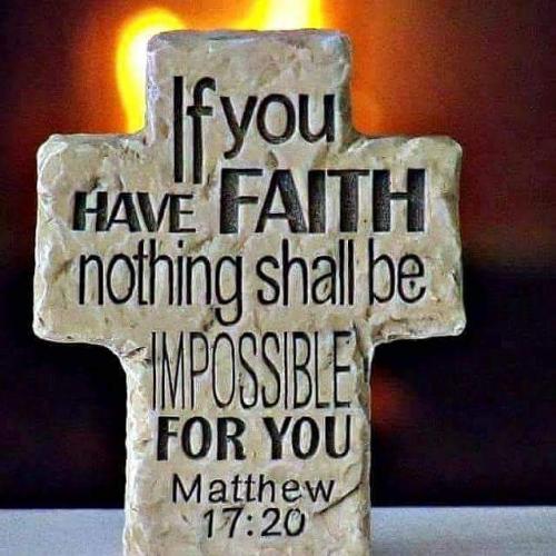 IMG_20190806_224545_722