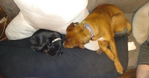 USER_SCOPED_TEMP_DATA_MSGR_PHOTO_FOR_UPLOAD_1600996785691_6715067222213776873